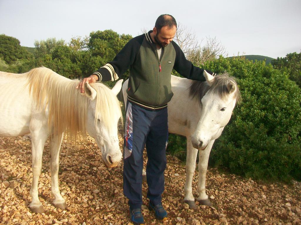 Andreas Katsaros Villas Volímai Extérieur photo